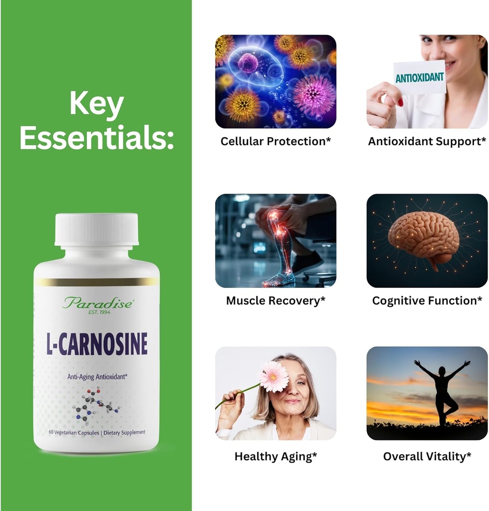 Paradise Herbs L-Carnosine, Super Potent, Ultra Pure, Antioxidant, Vegan, Non GMO, Gluten Free, 60 Vegetarian Capsules 3