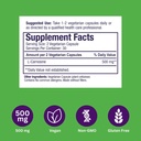 Paradise Herbs L-Carnosine, Super Potent, Ultra Pure, Antioxidant, Vegan, Non GMO, Gluten Free, 60 Vegetarian Capsules 6