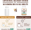 Liposomal NAD+ 500 MG Supplement, True NAD Plus Supplement, Superior Absorption, Boost NAD+ More Efficient Than Nicotinamide Riboside for Cellular Energy, Healthy Aging, 240 Serving 4