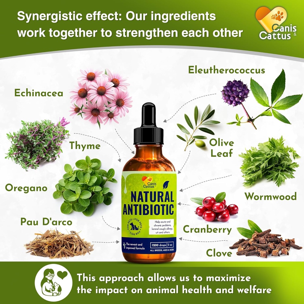 Canis&Cattus Natural Antibiotic for Dogs & Cats – Liquid Pets Antibiotic – Supports Immunity, Reduces Inflammation, Controls Parasites, and Boosts Urinary Health – 2 oz 4