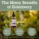 Quantum Health Black Elderberry Liquid Extract Sambucus Nigra Immune Support Formula 700mg - Daily Wellness Boost of Potent Antioxidants for Women & Men - High Dose, Fast Absorption, Vegan - 2 Fl Oz 5