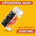 2000 MG NAD Supplement, Liposomal NAD+ with High Absorption, More Efficient Than Nicotinamide Riboside, Pure & Plus Boosting Supplement, Aging Defense, Metabolism & Cellular, 600 softgels 4