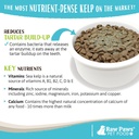 Raw Paws Organic Kelp Powder for Dogs & Cats (16-Ounce) - Supports Thyroid, Digestive & Immune Health - Dried Sea Kelp for Dogs - Seaweed Powder Supplement 6