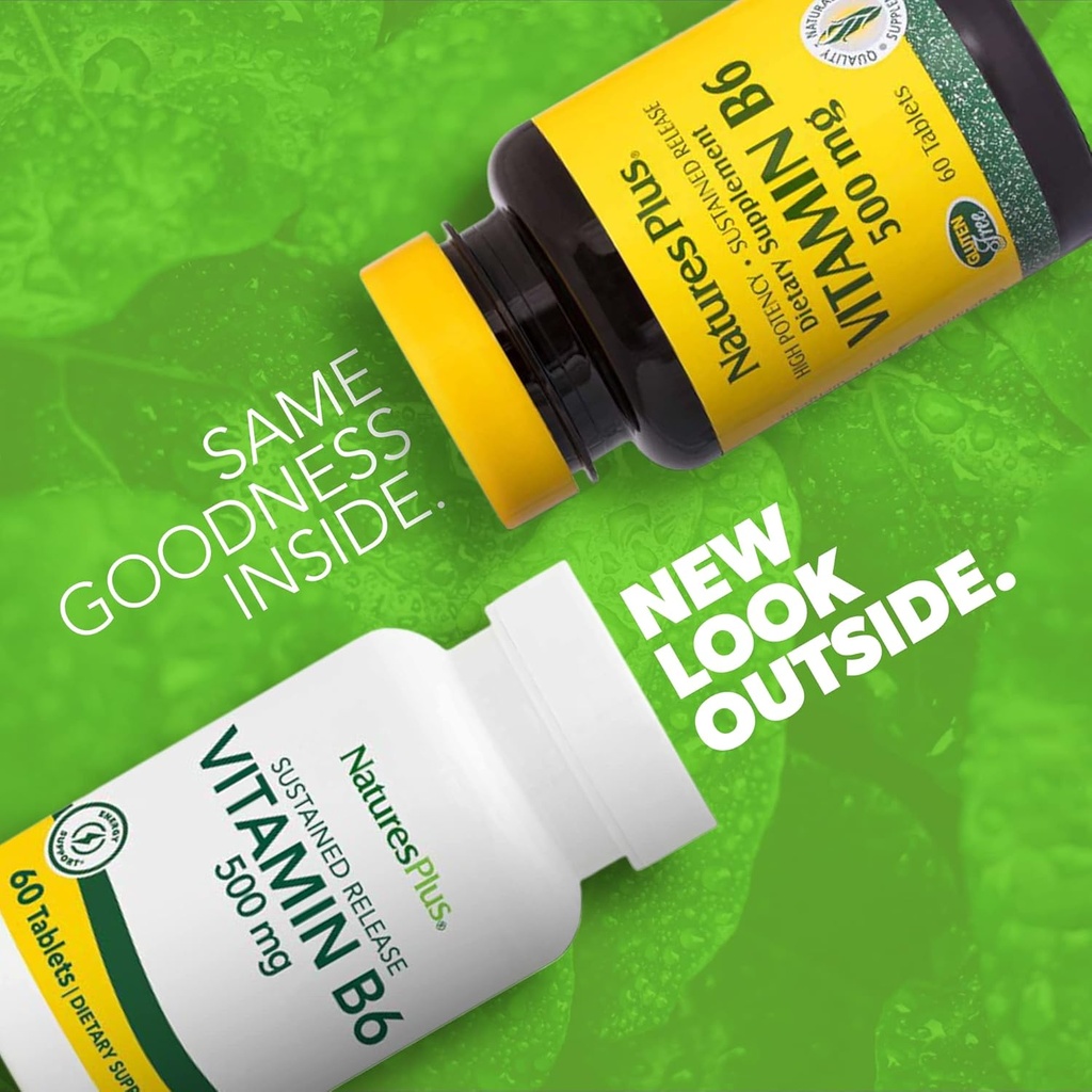 NaturesPlus Vitamin B6 (Pyridoxine HCI), Sustained Release - 500 mg, 60 Vegetarian Tablets - Energy & Metabolism Booster, Memory, Mood, Immune Support Supplement - Gluten-Free - 60 Servings 3