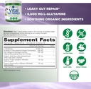 Vital Planet - Vital Gut Renew Powder Supplement for Leaky Gut Repair with L-Glutamine, Marshmallow and Ginger Root, DGL Licorice Root and Organic Aloe Vera, L Glutamine 6000mg 6.88 oz 3