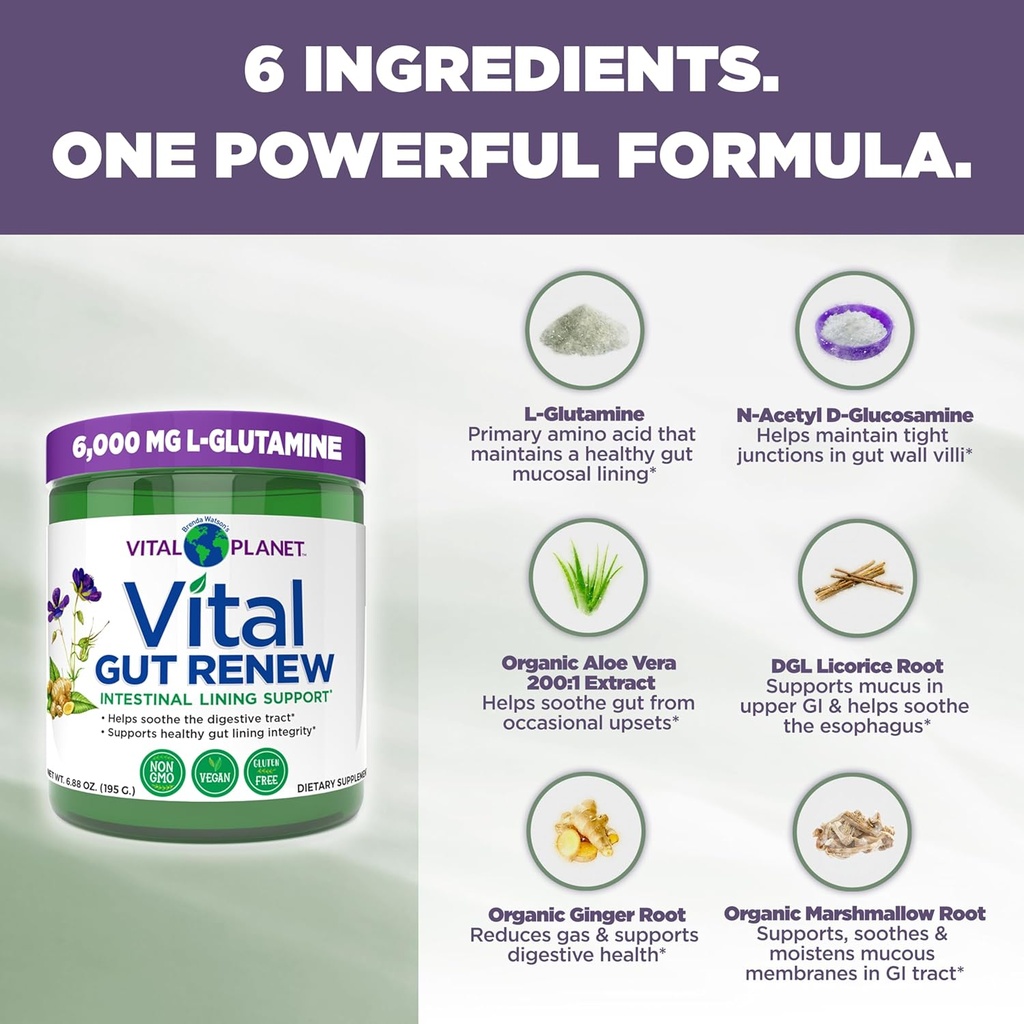 Vital Planet - Vital Gut Renew Powder Supplement for Leaky Gut Repair with L-Glutamine, Marshmallow and Ginger Root, DGL Licorice Root and Organic Aloe Vera, L Glutamine 6000mg 6.88 oz 4