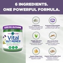 Vital Planet - Vital Gut Renew Powder Supplement for Leaky Gut Repair with L-Glutamine, Marshmallow and Ginger Root, DGL Licorice Root and Organic Aloe Vera, L Glutamine 6000mg 6.88 oz 4