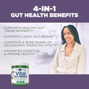 Vital Planet - Vital Gut Renew Powder Supplement for Leaky Gut Repair with L-Glutamine, Marshmallow and Ginger Root, DGL Licorice Root and Organic Aloe Vera, L Glutamine 6000mg 6.88 oz 5