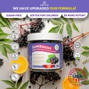 Purify Life Sugar-Free Elderberry Gummies with Vitamin C & Zinc for Adults and Kids, Immune Support Supplement for Respiratory Health, Sambucus Elderberry Antioxidant Gummies - Vegan, 90 Count 3