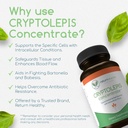 Cryptolepis Concentrate, Immune Support with Cryptolepis Sanguinolenta for Immunity Boost, Concentrated Herbal Supplements, Antioxidant & Health Supplement, 120 Capsules 6