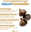 Healthfare Aged Black Garlic Supplement Pills | 2000mg Equivalent | 2 Bottles, 180 Vegan Capsules | Fermented Odorless Garlic Extract | Non-GMO, Gluten-Free | Made in USA 6