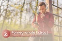 Pure Original Ingredients Pomegranate Extract, (100 Capsules) Always Pure, No Additives Or Fillers, Lab Verified 6