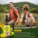 Mullein Drops for Lungs, Mullein Leaf Extract Herbal Supplement, Natural Lung Cleanse, Respiratory & Immune Support, Breathe Health, Tincture with Marshmallow, Elderberry - 2 fl Ounces 6