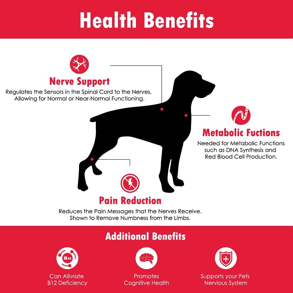 CobalaVet Vitamin B12 & B9 for Small Dogs & Cats - Supports The Nervous System, Brain Function, Immune Defenses & Cell Growth - Blood Cell Formation - Metabolic Pathway - 60 Soft Chews 6