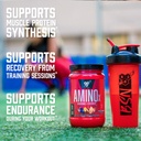 BSN Amino X Muscle Recovery & Endurance Powder with BCAAs, 10 Grams of Amino Acids, Keto Friendly, Caffeine Free, Support Endurance, Zero Sugar, Fruit Punch, 70 servings (Packaging May Vary) 4
