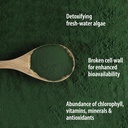 Organic Traditions Organic Powder, Chlorella, 5.3 Ounce by Organic Traditions 4