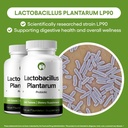 Lactobacillus Plantarum Probiotic Supplement 240 Tablets 3 Billion CFU Probiotics for Men & Women Supports Intestinal Digestive & Gut Health (240, Lactobacillus Plantarum) 3