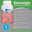 Trace Minerals Electrolyte Stamina Gummies - Convenient Electrolyte Supplement That Supports Hydration - Supports Optimal Energy - Muscle Stamina - Vegan - Watermelon - 90 Count (30 Servings) 5