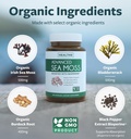Organic Irish Sea Moss Capsules - Organic Sea Moss Capsules with Bladderwrack Burdock Root and Black Pepper Extract for Enhanced Absorption - Vegan Non-GMO & Made in The USA (3 Month Supply) 3