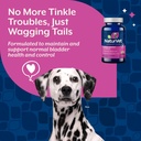 NaturVet – Bladder Support for Dogs – Plus Cranberry | Supports Healthy Bladder Control & Normal Urination | 60 Time Release Chewable Tablets 4