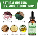 Sea Moss Liquid Drops - Organic Irish Sea Moss Gel with Spirulina, Bladderwrack, Burdock Root, Seamoss Gel Supplement for Joint, Detox Cleanse & Digestion Support - 2 Fl Oz, Vegan 3