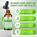 Sea Moss Liquid Drops - Organic Irish Sea Moss Gel with Spirulina, Bladderwrack, Burdock Root, Seamoss Gel Supplement for Joint, Detox Cleanse & Digestion Support - 2 Fl Oz, Vegan 4