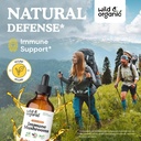 Wild & Organic Immune Mushroom Tincture 4 fl oz & Lion's Mane Tincture 4 fl oz 3