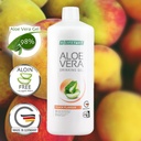 LR Lifetakt Aloe Vera Drinking Gel Peach Flavour Health Care Women Men Drink Every Day Natural Treatment - 1000 ml./33.3 fl.oz 2