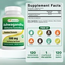 Best Naturals Ashwagandha Extract 500 Mg 120 Capsules (Pack of 2) 3