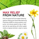 MediNatura T-Relief Extra Strength Oral Drops Arnica +12 Fast-Acting Natural Relieving Actives for Back Neck Joint Muscle Hand & Foot Aches Pains & Soreness - 1.69 oz 6