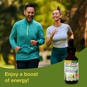 Herbs Etc. ChlorOxygen Chlorophyll Concentrate - Highly-Concentrated Energy Support - Aids Healthy Blood Circulation - Natural Vitality Support - Alcohol-Free - 1 fl oz, Mint (About 66 Servings) 4