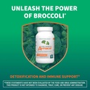 Nutramax Laboratories Avmacol Extra Strength #1 Researched Sulforaphane-Producing Brand for Detoxification, Antioxidant Support, Immune Health, Adults & Children, Moringa, 75 Tablets 6