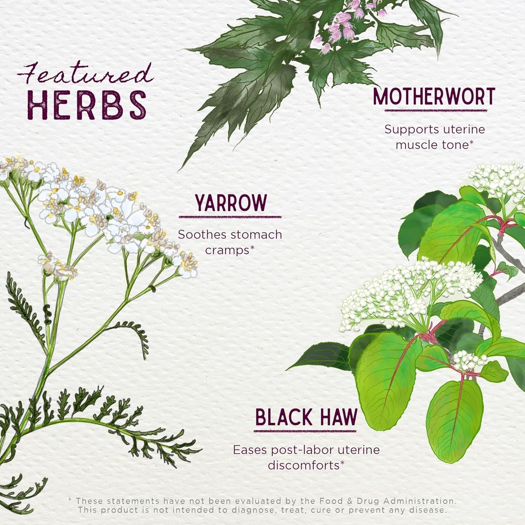 WishGarden Herbs AfterEase for After Birth Contractions - All-Natural Herbal Supplement with Cramp Bark & Black Haw Bark Soothes Afterbirth Contractions & Uterine Cramping, Postpartum Essentials, 4oz 5