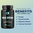 Irish Sea Moss Capsules | with Organic Irish Moss, 300mg Burdock Root & 500mg Bladderwrack Powder | 45-Day Supply | 1300mg Complex | Provides Iodine for Thyroid & Immune Support | 90 Veggie Pills 4