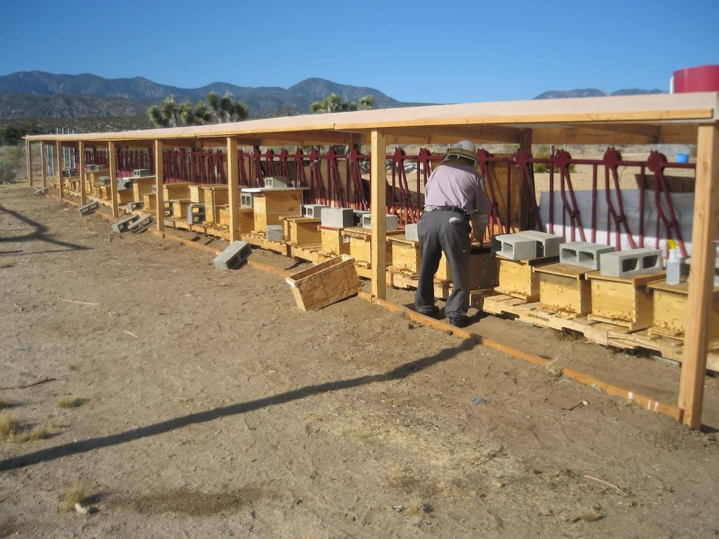 100% Pure Organic Fresh Royal Jelly Nutritious Superfood for Wellness and Beauty (5kg) 5