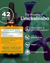 Herb Pharm Certified Organic Umckaloabo Liquid Extract for Respiratory System Support, 1 Fl Oz 3