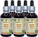 Kava Kava (Piper Methysticum) Glycerite, Dried Root Alcohol-Free Liquid Extract (Brand Name: HerbalTerra, Proudly Made in USA) 20x4 fl.oz (20x120 ml) 3