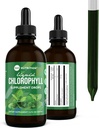 360 Nutrition Chlorophyll Liquid Drops with Peppermint Oil, GF & Vegan Body Internal Deodorant Supplement, Supports Gut Health, Digestion, Energy, Radiant Skin, Fast Absorption (4 Fl Oz (1 Count)) 2