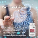 Youth & Tonic Digestive Enzymes with Amylase Bromelain Lipase Lactase Protease Papain - Advanced Digestion Plant Enzymes for Food Breakdown Gas Bloating Gut Health - Women & Men - 60 Vegetable Pills 4