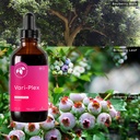 Mountain Meadow Herbs Vari-Plex - Natural Vein Support for Women, Promotes Healthy Circulation, Capillary & Vein Health, Fast-Acting Liquid Herbal Extract 4oz 6