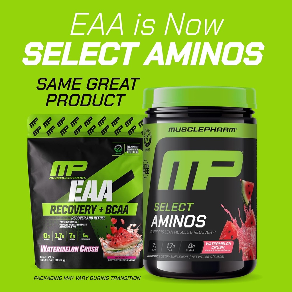 Muscle Pharm EAA Recovery + BCAAs, Post Workout Essential Amino Acids Powder, Pre Workout Energy Supplement for Men & Women with Branched Chain Amino Acids, 30 Servings (Watermelon Crush) 3