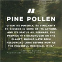 Surthrival: Pine Pollen Pure Potency Extract (1.69 fl oz), Increased Stamina, Hormone Balance, Energy & Endurance Restoration 6