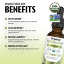 dr-green-mom-usda-organic-folinic-acid-d-4.jpg
