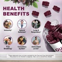 2-pack-quercetin-gummies-quercetin-with--4.jpg