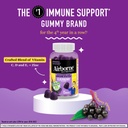 airborne-elderberry-zinc-vitamin-c-gummi-5.jpg