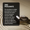 naturewise-zinc-picolinate-with-d3-k2-zi-4.jpg