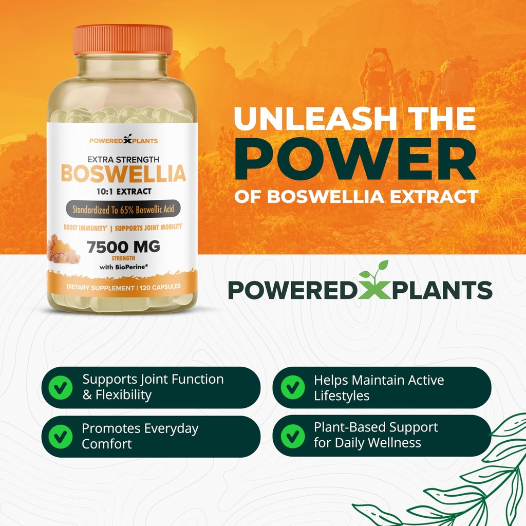 boswellia-serrata-extract-joint-support--3.jpg