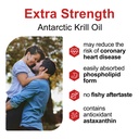 antarctic-krill-oil-500-mg-phospholipid--3.jpg