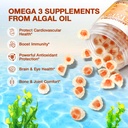 vegan-omega-3-gummies-fish-oil-omega-3-s-3.jpg