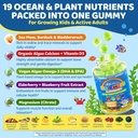 sea-moss-elderberry-gummies-for-kids-adu-5.jpg